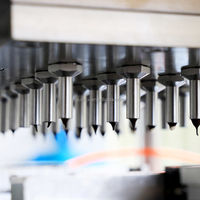 GUSU Automatische Nieuwe Fruit & Chocolade Vormgevings Productielijn Machine
