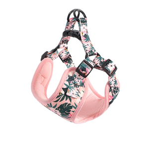 Conjunto de Dos Piezas de Correa para Mascotas de Alta Calidad, Estilo Chaleco de Cuero para Perros, Cómodo, Duradero y Transpirable, Correa de Nailon - Product Image 2