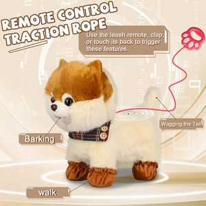 Chiot jouets pour enfants chien jouet contrôle réaliste Musical danse animé en peluche animal de compagnie avec laisse créatif animaux en peluche jouets cadeaux - Product Image 2