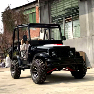 รถมินิจี๊ปออฟโรดสำหรับฟาร์ม 2 ที่นั่ง 350 ซีซี ATV และรถ UTV จากจีน ราคาดีที่สุดสำหรับขาย - Product Image 1