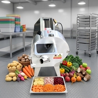 Groothandel Commerciële Automatische Motor 304 RVS Lente-ui Ierse Aardappelchips Restaurant Keuken Julienne Groente