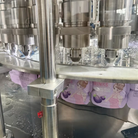 Machines de remplissage et d'emballage à bec verseur multifonction pour la pasteurisation de jus de fruits et de purée d'huile et machine de capsulage rotative
