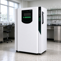 Incubateur de CO2 de laboratoire pour la culture cellulaire et bactérienne in vitro, micro-ordinateur intelligent avec alarme de surchauffe et de panne