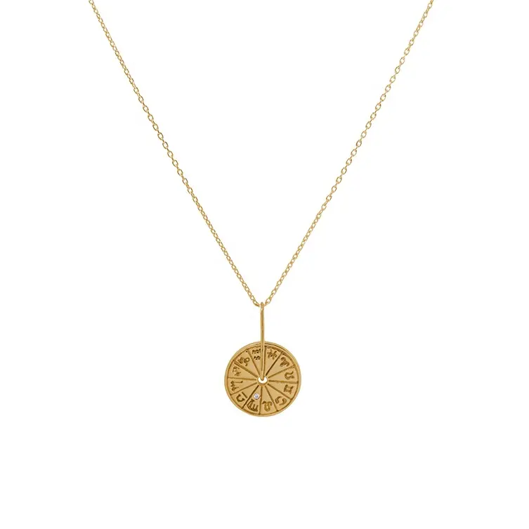 Gold Plated 925 Sterling Silver Zodiac Coin Necklace Amulet Wheel Charm Necklace