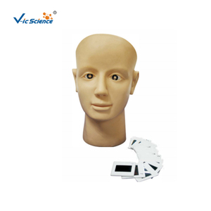 Modèle de formation en rétinothérapie pour la science médicale, modèle d'infirmier en PVC, modèle de démonstration pédagogique en <span class=keywords><strong>ophtalmologie</strong></span> - Product Image 6