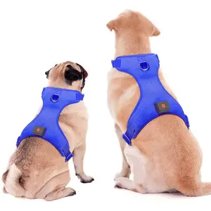 Polyester USB có thể sạc lại phát sáng vào ban đêm phản chiếu Dog vest không kéo LED Dog Harness