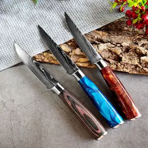 Steak Knife With Engraved Damascus Pattern Razor Sharp Blade High Carbon Stainless Steel With Resin Handle