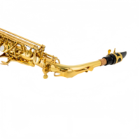 Customized Brass Body Eb Alto Saxophone Gold Lacquer Finish Professional Elbow Wind Instrument for Beginner with Accessories
