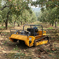 Tondeuse à fléaux sur chenilles télécommandée 1200 mm pour terrains en pente, idéale pour le désherbage et le contrôle des mauvaises herbes