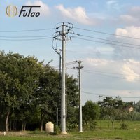Fabricante de Postes de Acero Personalizados para Aplicaciones de Ingeniería de Líneas de Transmisión de Energía en Zonas Costeras y Montañosas