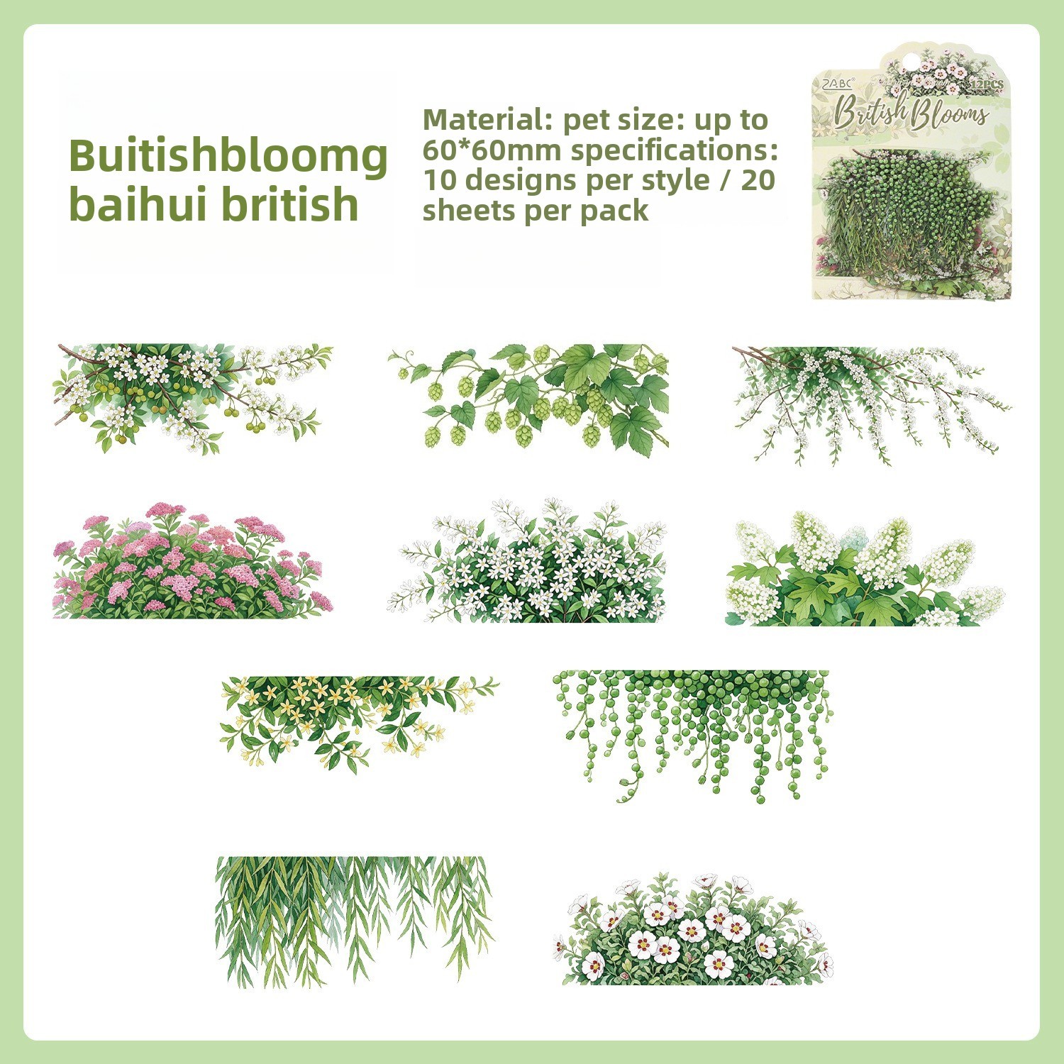 D Baihui Inghilterra-verde