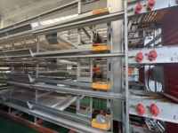 Nouvelle cage à poulets automatique de type H sur mesure, équipement d'élevage avicole automatisé OEM personnalisé en acier inoxydable galvanisé