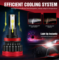 Led H7 8000 lumens F5S Multicolore Led Phare de voiture 80w 6000k 3000K 4500K Led Canbus Lampe de voiture avec Ce Rohs Accessoires de véhicules