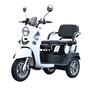 Scooter de Movilidad para Adultos, Triciclo Eléctrico con Batería de Litio de 60v 20ah 2000w, en Oferta - Product Image 1