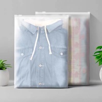 Sacs en plastique transparent en PE recyclable, biodégradables et réutilisables, fabricant professionnel