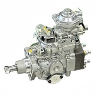 Pompe à injection de carburant diesel 580SM Engine 0460424282 504063450 2852046 VE4/12F1100L954 pour Bosch CASE Construction Machinery
