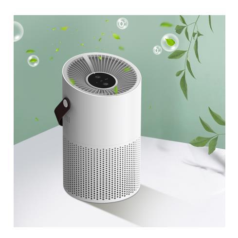 Wholesale Portable Mini Negative Ion Low