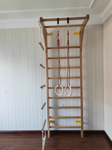 Altalene giocattolo imposta il centro commerciale della scuola al coperto parco giochi in legno struttura di arrampicata con parete ginnica per la ginnastica di arrampicata - Product Image 2