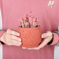 Personnalisé Vintage Coloré Grès Béton Ciment Planteur Fleur Succulente Cactus Pots avec Trou