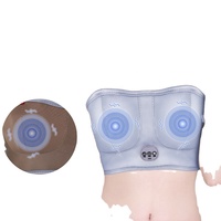 Elektrische Brust massage gerät wiederauf ladbare Lady Chest Enhancer Frauen Brust vergrößerung Pad Nippel Stimulator Vibrator BH