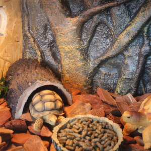 3D đá trang trí 3D hồ cá nền bò sát cây hồ cá nền hồ cá - Product Image 6