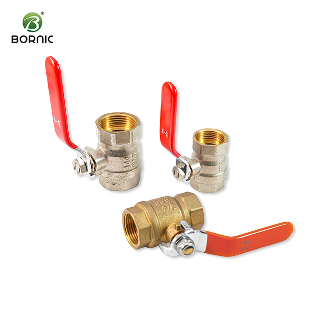 Bornic Valve Factory Sample Free Brass