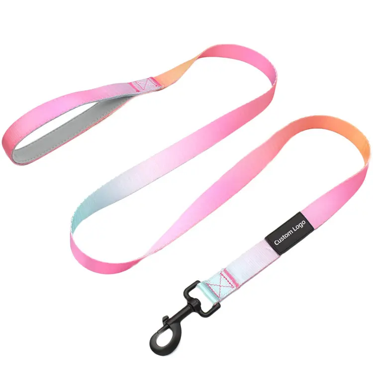 Venda quente trela cão com gradiente cor série e 2mm espessura nylon material pequena quantidade disponível dog leash