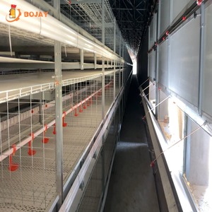 Sistema <span class=keywords><strong>de</strong></span> Jaulas Automáticas para Pollos <span class=keywords><strong>de</strong></span> Engorde Tipo H, Equipo <span class=keywords><strong>de</strong></span> Avicultura para <span class=keywords><strong>Granjas</strong></span> Avícolas Comerciales, Precio <span class=keywords><strong>de</strong></span> Fábrica - Product Image 1