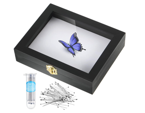 Kit de <span class=keywords><strong>boîte</strong></span> à insectes, fournitures <span class=keywords><strong>d</strong></span>'<span class=keywords><strong>entomologie</strong></span>, <span class=keywords><strong>boîte</strong></span> de présentation pour spécimens de papillons avec planche de fixation en mousse EVA et 100 épingles noires - Product Image 3