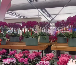 易清洁聚酯方形风管 10m，适用于咖啡店和医院 |   暖通空调系统工业应用 |   厂家直销OEM销售 - Product Image 5