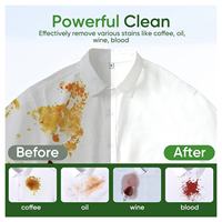 Feuilles de lessive écologiques Formule enzymatique végétale Emballage sans plastique Fabricant OEM