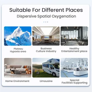 MICiTECH lithium moléculaire pour usage médical haute concentration en oxygène <span class=keywords><strong>d</strong></span>'<span class=keywords><strong>occasion</strong></span> 20 lits de tamis de concentrateur <span class=keywords><strong>d</strong></span>'oxygène - Product Image 6