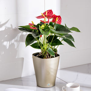 Jardinière empilable porte-plante luxe null moule fenêtre succulente clair mini style jardin extérieur décor à la maison pot <span class=keywords><strong>de</strong></span> fleur - Product Image 2