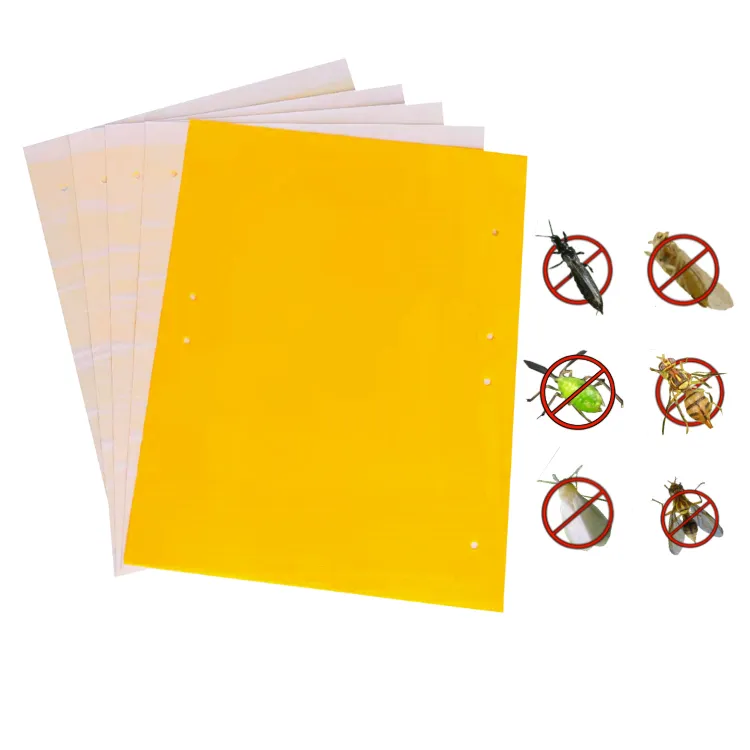 Agriculture Yellow Fruit Fly Catcher Bug Traps Sticky Glue Board Adhesive Fly Trap Pest Control Flies Killer Trap