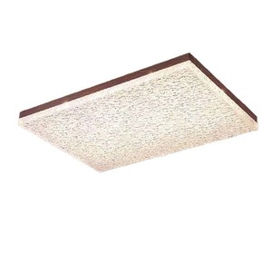 Lampe de plafond LED minimaliste de luxe pour salon, chambre, bureau, protection des yeux, commande vocale intelligente, dropshipping Shopify - Product Image 1