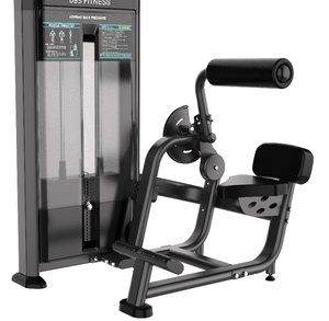 Machine de musculation abdominale et dorsale 2-en-1 pour salle de sport professionnelle – Équipement d'entraînement de la force du tronc – Vente directe usine - Product Image 1