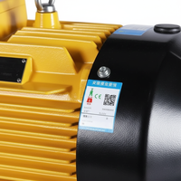 Moteur asynchrone triphasé antidéflagrant haute efficacité YBF3-315M-6-90KW à montage sur pied certifié CE EAC