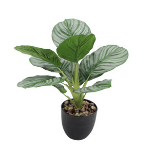 ใบต้นแอปเปิ้ลประดิษฐ์แบบมัดรวม ต้นไม้สีเขียวตกแต่งห้างสรรพสินค้า ใบต้นคาลาเทียสำหรับตกแต่งบ้าน ห้องตัวอย่าง จัดสวนจำลอง สมจริงสูง - Product Image 4