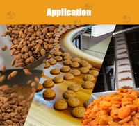 Machine à peler et à fendre les cacahuètes sèches, éplucheur de cacahuètes au cacao, avec moteur et moteur, acier inoxydable, haute capacité