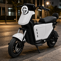 Motocicleta Eléctrica al por Mayor, Motor de 1200W, Ruedas de 14 Pulgadas, Velocidad Máxima de 55 km/h, Autonomía de hasta 140 km para Desplazamientos Diarios