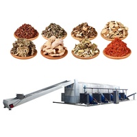 Mesin Pengering Snack dari Produsen Asli, Mesin Pengering Alfalfa dengan Sabuk Jala, Mesin Pengering Bawang/Kurma/Kelapa, Mesin Pengering Mangga