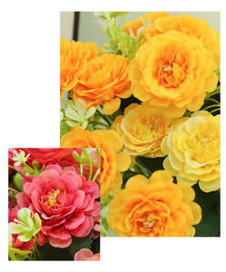Vente en gros de fleurs artificielles en soie pour mariage, petit bouquet de <span class=keywords><strong>hibiscus</strong></span> et de roses pour la décoration, petit bouquet de fleurs - Product Image 6