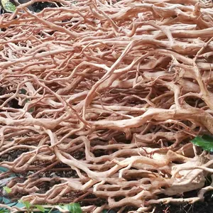 Aquascaping Premium Yellow Rhododendron Root