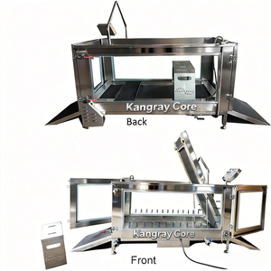 Caminadora Subacuática para Hidroterapia Canina de 30 kg a 110 kg, Equipo de Terapia Física Veterinaria, Caminadora Acuática - Product Image 3