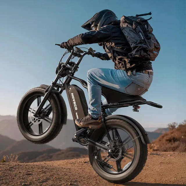 20inch Electric Bike 48V 15Ah Steel Frame Fatbike 250W 750w 1500W Lithium Battery Electric Bikerecallkeyword Electric Bike