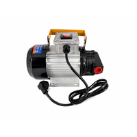 Moteur électrique CC robuste 750W, auto-amorçant, haut débit, 60 litres par minute, aspiration 3M, 2800 tr/min, 220V 240V, pour huile hydraulique OEM