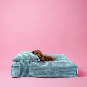 Yangyangpet Flannel Fabric Pp Cotton Soft Dog Bed With Pillow