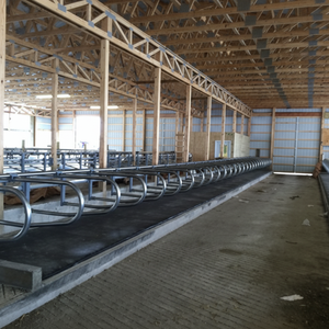 Matelas pour vaches, imperméable, durable, en caoutchouc, pour ferme laitière - Product Image 6