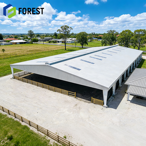 Estructura de Acero Modular Prefabricada para Arena Ecuestre, Económica, de Gran Vano, con Estructura de Rejilla Soldada, Tamaño Personalizable, Construcción Robusta - Product Image 2