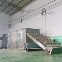 Maniokverwerkingsmachines Gaasbanddroger Fruit Groenten Drogen Fruit Groenten Voedsel Dehydrator Doorlopende Droger